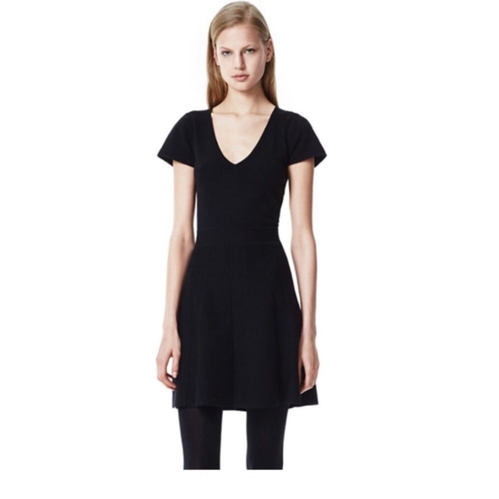 Theory Dress